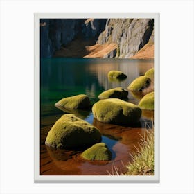 Mossy Rocks Canvas Print