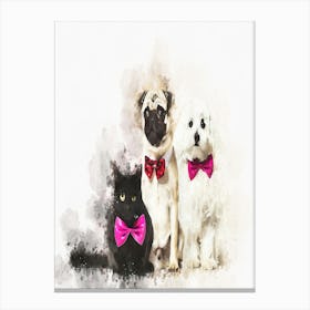 Mixed Breed Cat Pug Canvas Print