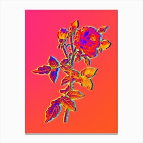 Neon Provence Rose Botanical in Hot Pink and Electric Blue n.0096 Canvas Print