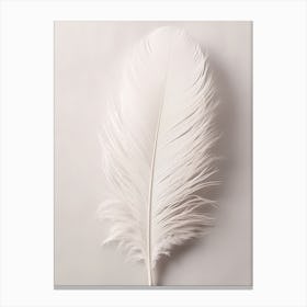 White Feather 2 Canvas Print