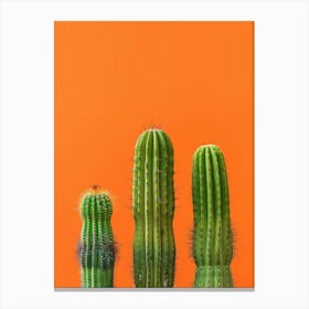 Cactus On Orange Background 4 Canvas Print