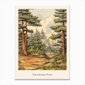 Ziarat Juniper Forest Canvas Print