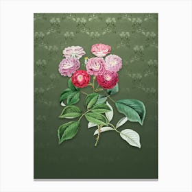 Vintage Seven Sister's Rose Botanical on Lunar Green Pattern n.2550 Canvas Print