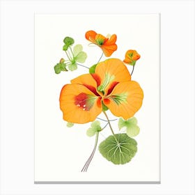 Nasturtium Floral Quentin Blake Inspired Illustration 2 Flower Canvas Print