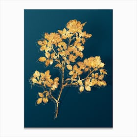 Vintage Rose Corymb Botanical in Gold on Teal Blue n.0256 Canvas Print
