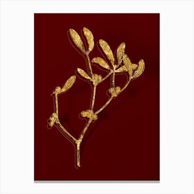 Vintage Viscum Album Branch Botanical in Gold on Red n.0098 Canvas Print