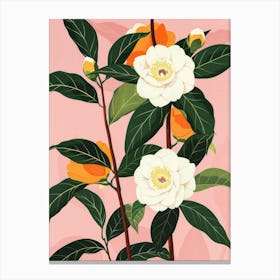 Camellia Canvas Print