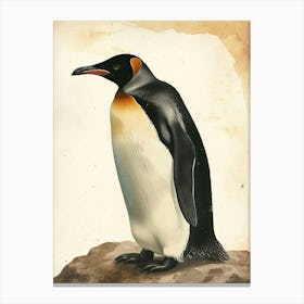 Adlie Penguin Zavodovski Island Vintage Botanical Painting 3 Canvas Print
