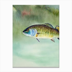 Barracuda Storybook Watercolour Canvas Print