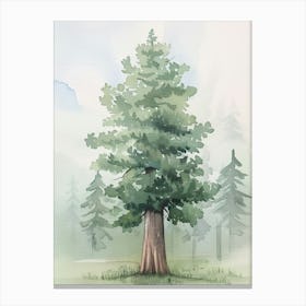 Sequoia Tree Atmospheric Watercolour Painting 5 Canvas Print
