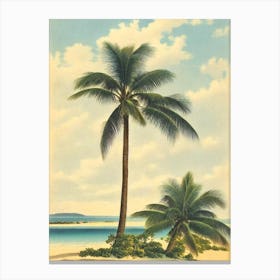 Shoal Bay Anguilla Vintage Canvas Print