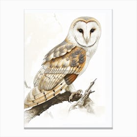 Barn Owl Vintage Illustration 4 Canvas Print