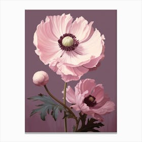 Floral Illustration Anemone 1 Canvas Print
