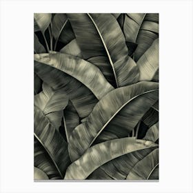 Banana Leaves Wallpaper 2 Canvas Print