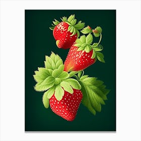 Everbearing Strawberries, Plant, Retro Drawing Canvas Print