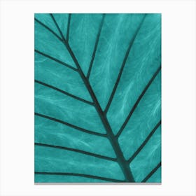 Teal Leaf Canvas Print