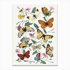 Garden Butterflies Vintage Art Prints Canvas Print