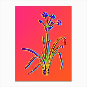Neon Crytanthus Vittatus Botanical in Hot Pink and Electric Blue n.0207 Canvas Print