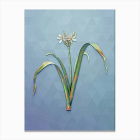 Vintage Small Flowered Pancratium Botanical Art on Summer Song Blue n.0871 Canvas Print