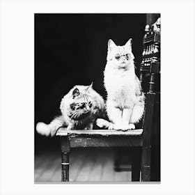 Two Cats Wearing Sunglasses On A Chair, Vintage Black and White Old Photo Canvas Print