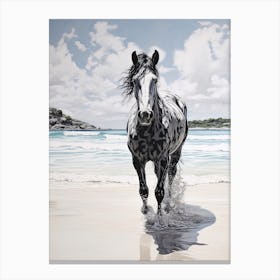 A Horse Oil Painting In Hyams Beach, Australia, Portrait 2 Canvas Print