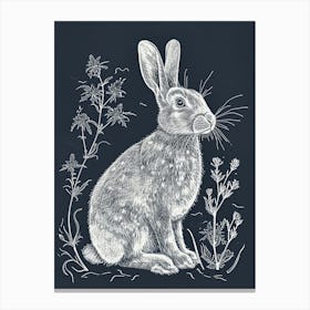 English Silver Rabbit Minimalist 3 Canvas Print