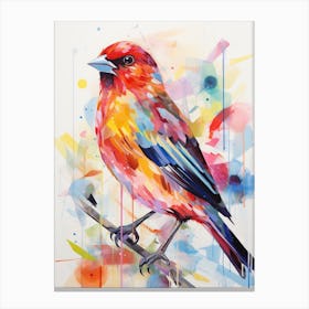 Bird Painting Collage Finch 3 Canvas Print