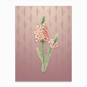 Vintage Heather Briar Root Bruyere Botanical on Dusty Pink Pattern n.0092 Canvas Print