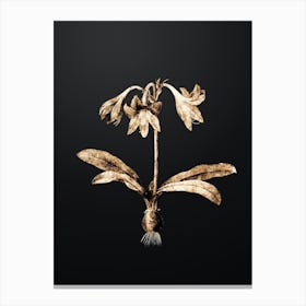 Gold Botanical Netted Veined Amaryllis on Wrought Iron Black n.1393 Canvas Print