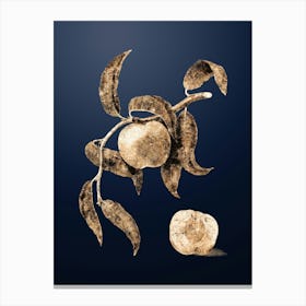Gold Botanical Peach on Midnight Navy n.2319 1 Canvas Print
