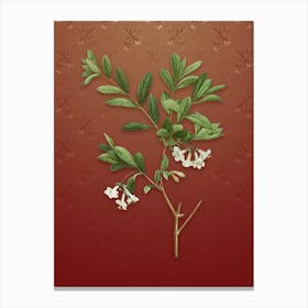 Vintage White Honeysuckle Plant Botanical on Falu Red Pattern n.0428 Canvas Print