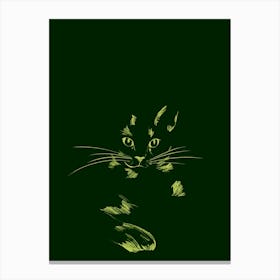 Sketchy Cat In The Dark Canvas Print