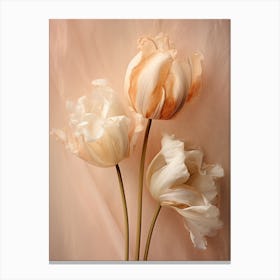 Boho Dried Flowers Tulip 7 Canvas Print