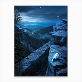 Cliffs At Night Canvas Print