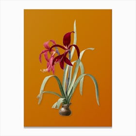 Vintage Sprekelia Botanical on Sunset Orange Canvas Print