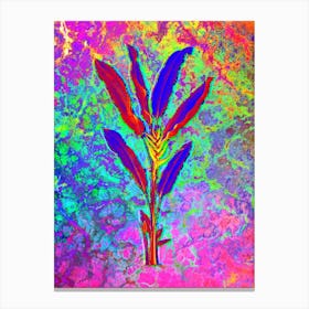 Parrot Heliconia Botanical in Acid Neon Pink Green and Blue n.0122 Canvas Print