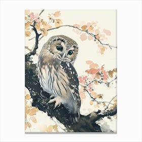 Northern Pygmy Owl Drawing 4 Canvas Print