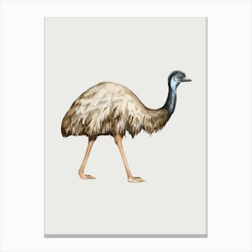 Emu.. Canvas Print