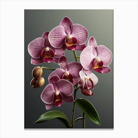 Orchids 3 Canvas Print