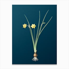 Vintage Daffodil Botanical Art on Teal Blue 1 Canvas Print
