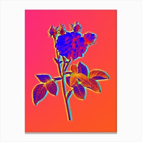 Neon Pink Agatha Rose Botanical in Hot Pink and Electric Blue n.0459 Canvas Print