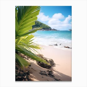 Palm Tree On The Beach 1 Canvas Print