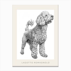 Lagotto Romagnolo Dog Line Sketch 2 Poster Canvas Print
