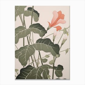 Flower Illustration Sweet Pea 3 Canvas Print