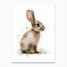 Mini Satin Rabbit Nursery Illustration 3 Canvas Print