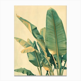 Banana Leaves 14 Canvas Print