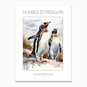 Humboldt Penguin Volunteer Point Watercolour Painting 2 Poster Canvas Print