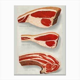 Meat Cuts Canvas Print