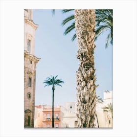 Pastels and Palmtrees in Spain Canvas Print