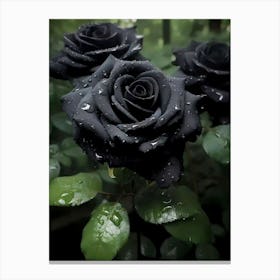 Black Roses Canvas Print